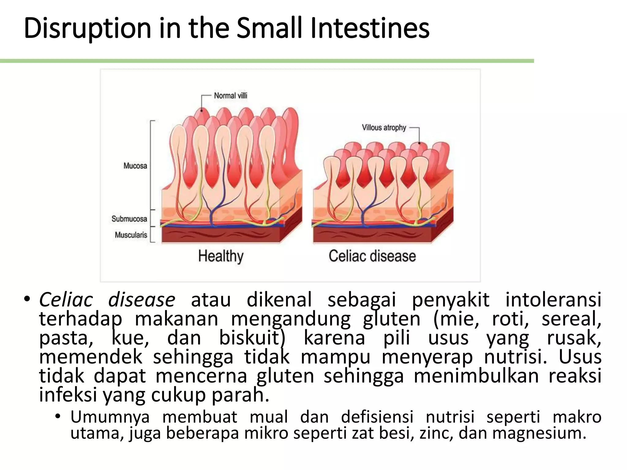 04 Patologi Manusia - Gangguan Saluran Cerna dan Kaitannya dengan ...