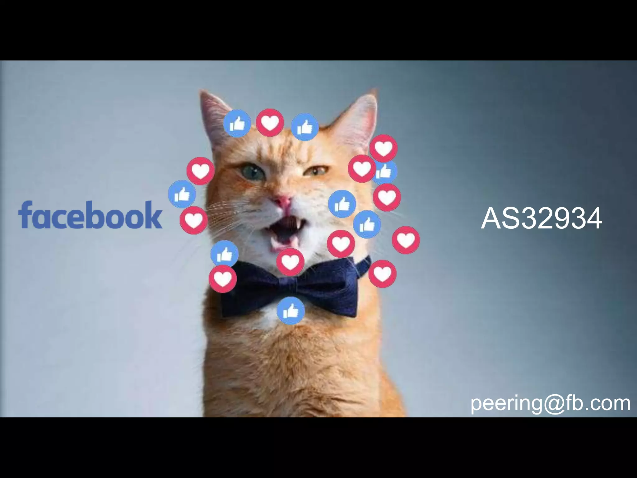 AS32934
peering@fb.com
 