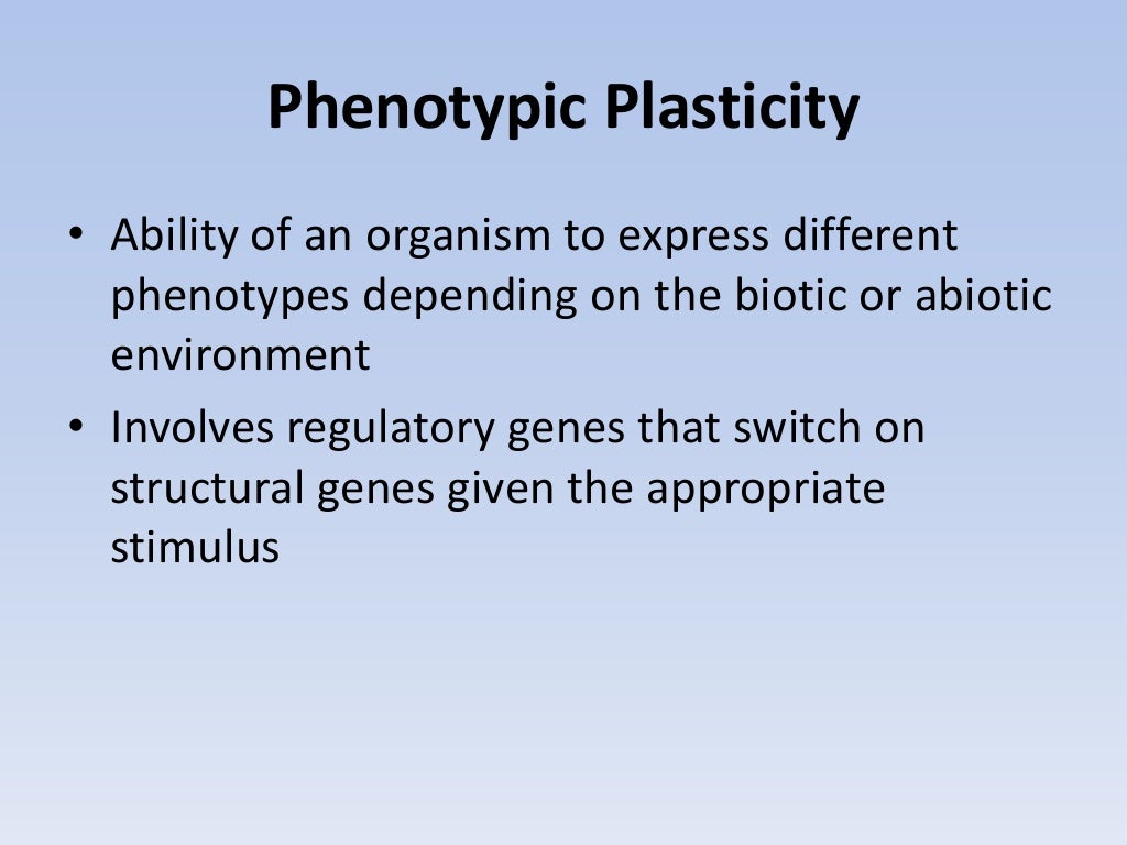 04 phenotypic plasticity