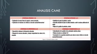 ANALISIS CAME
 