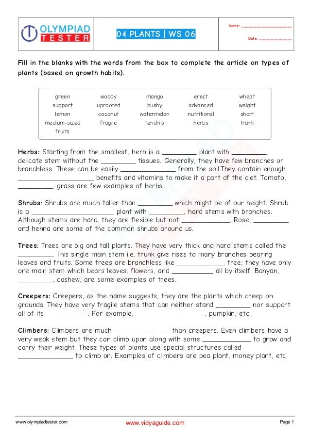 Balanced diet for weight loss Balanced diet for weight loss image