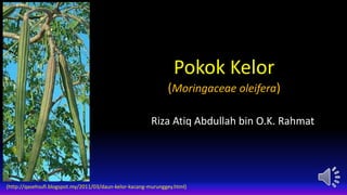 Pokok Kelor
(Moringaceae oleifera)
Riza Atiq Abdullah bin O.K. Rahmat
(http://qasehsufi.blogspot.my/2011/03/daun-kelor-kacang-murunggey.html)
 