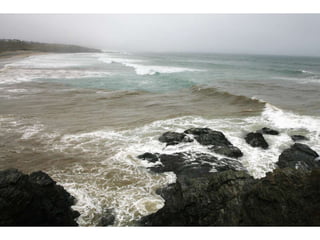 SAS Campaigns Director – Andy Cummins
 