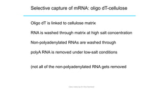 P Plasmid and RNA extraction.pdf MICROBIOLOGY | PDF