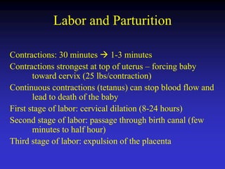 pregnancy physiology pregnancy physiology | PDF