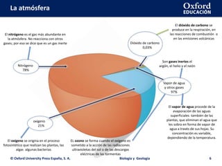 La atmósfera
© Oxford University Press España, S. A. Biología y Geología 6
Nitrógeno
78%
oxígeno
21%
Vapor de agua
y otros gases
97%
Dióxido de carbono
0,03%
El dióxido de carbono se
produce en la respiración, en
las reacciones de combustión o
en las emisiones volcánicas
Son gases inertes el
argón, el helio y el neón
El vapor de agua procede de la
evaporación de las aguas
superficiales también de las
plantas, que eliminan el agua que
les sobra en forma de vapor de
agua a través de sus hojas. Su
concentración es variable,
dependiendo de la temperatura.
EL ozono se forma cuando el oxígeno es
sometido a la acción de las radiaciones
ultravioletas del sol o de las descargas
eléctricas de las tormentas
El oxígeno se origina en el proceso
fotosintético que realizan las plantas, las
algas algunas bacterias
El nitrógeno es el gas más abundante en
la atmósfera. No reacciona con otros
gases; por eso se dice que es un gas inerte
 