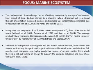 Blue Carbon Stocks in Mangrove Forests of Eastern India | PDF