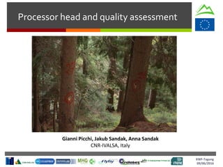 KWF-Tagung
09/06/2016
Processor head and quality assessment
Gianni Picchi, Jakub Sandak, Anna Sandak
CNR-IVALSA, Italy
 
