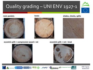 Quality grading – UNI ENV 1927-1
KWF-Tagung
09/06/2016
resin pockets
eccentric pith + compression wood + rot eccentric pith + rot + knot
shakes, checks, splitsknots
 