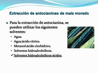  Para la extracción de antocianina, se
pueden utilizar los siguientes
solventes:
• Agua.
• Agua:ácido cítrico.
• Metanol:ácido clorhídrico.
• Solventes hidroalcohólicos.
 Solventes hidroalcohólicos-ácidos.
Extracción de antocianinas de maíz morado
 