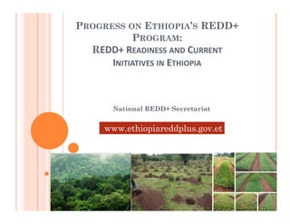 PROGRESS ON ETHIOPIA’S REDD+
PROGRAM:
REDD+ READINESS AND CURRENT
INITIATIVES IN ETHIOPIA
National REDD+ Secretariat
www.ethiopiareddplus.gov.et
 