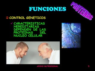 FUNCIONES
 CONTROL GENETICOS
   CARACTERISTICAS
    HEREDITARIAS
    DEPENDEN DE LAS
    PROTEINAS    DEL
    NUCLEO CELULAR




               APOYO NUTRICIONAL   5
 