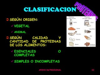 CLASIFICACION
 SEGÚN ORIGEN:
   VEGETAL
   ANIMAL

 SEGÚN      CALIDAD  Y
  CANTIDAD DE PROTEINAS
  DE LOS ALIMENTOS:
   ESENCIALES                  O
    COMPLETAS
   SIMPLES O INCOMPLETAS

                  APOYO NUTRICIONAL   10
 