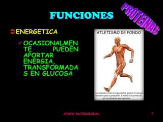 FUNCIONES
ENERGETICA
 OCASIONALMEN
  TE      PUEDEN
  APORTAR
  ENERGIA,
  TRANSFORMADA
  S EN GLUCOSA




              APOYO NUTRICIONAL   7
 
