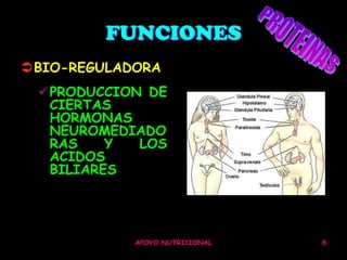 FUNCIONES
BIO-REGULADORA
 PRODUCCION DE
  CIERTAS
  HORMONAS
  NEUROMEDIADO
  RAS    Y  LOS
  ACIDOS
  BILIARES




            APOYO NUTRICIONAL   8
 