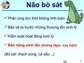 Não bò sát
 Phản ứng tức thời không tính toán

 Bảo vệ ta trước những thương tổn sinh lý

 Kiểm soát hoạt động sinh lý

 Bản năng sinh tồn (không lôgic, suy luận)

(Bò sát: thạch sùng, cá sấu…)
                                   25         25
 