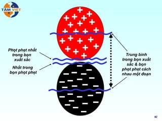 Phọt phẹt nhất
  trong bọn        Trung bình
   xuất sắc      trong bọn xuất
                    sắc & bọn
 Nhất trong      phọt phẹt cách
bọn phọt phẹt    nhau một đoạn




                                  42
                                  42
 