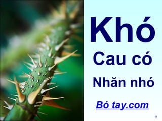Khó
Cau có
Nhăn nhó
Bó tay.com
             44
 