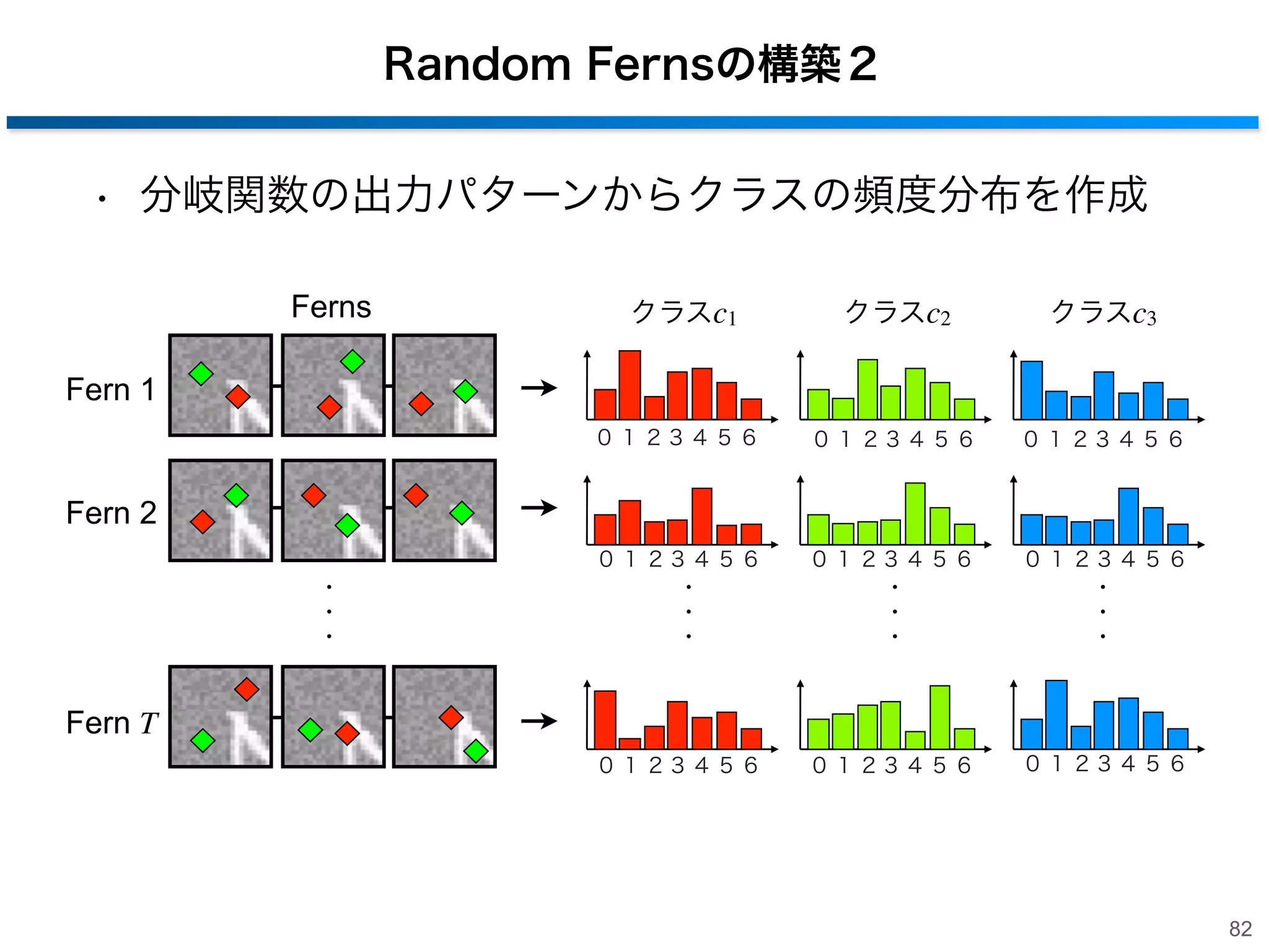 Random Fernsの構築１
• 分岐関数の出力パターンからクラスの頻度分布を作成
‒ 分岐関数はランダムで決定
Fern

0

1

(011)2 = 3

1

0

1

(101)2 = 5

0

1

0

(010)2 = 2

0
カテゴリciの学習画像

1

1

1

(011)2 = 3

0123456
カテゴリciの頻度分布

81

 