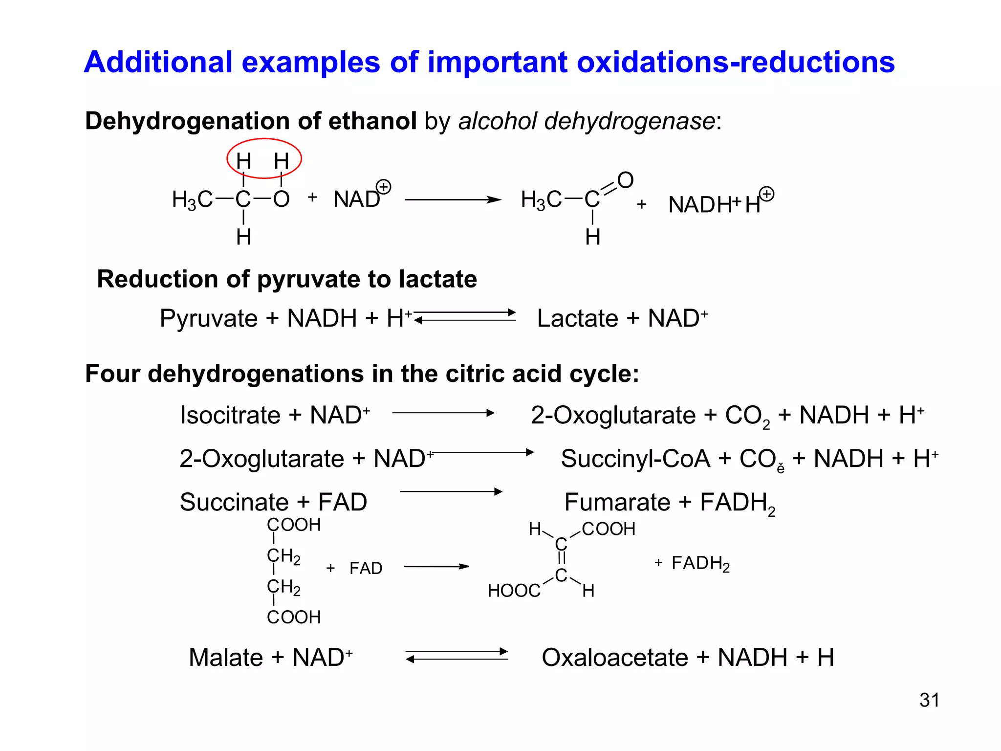 Additional examples of important oxidations-reductions Dehydrogenation of ethanol  by  alcohol dehydrogenase : Four dehydrogenations in the citric acid cycle: Isocitrate + NAD +  2-Oxoglutarate + CO 2  + NADH + H +   2-Oxoglutarate + NAD +   Succinyl-CoA + CO ě  + NADH + H + Succinate + FAD  Fumarate + FADH 2 C O O H C H 2 C H 2 C O O H +  FAD C C C O O H H H O O C H +  F A D H 2 Malate + NAD +  Oxaloacetate + NADH + H Reduction of pyruvate to lactate Pyruvate + NADH + H +  Lactate + NAD + 