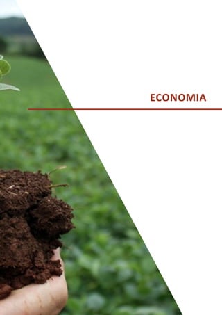 ECONOMIA
 