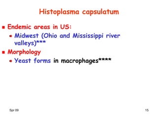 Spr 09 15
Histoplasma capsulatum
Endemic areas in US:
Midwest (Ohio and Mississippi river
valleys)***
Morphology
Yeast forms in macrophages****
 