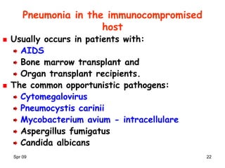 Spr 09 22
Pneumonia in the immunocompromised
host
Usually occurs in patients with:
AIDS
Bone marrow transplant and
Organ transplant recipients.
The common opportunistic pathogens:
Cytomegalovirus
Pneumocystis carinii
Mycobacterium avium - intracellulare
Aspergillus fumigatus
Candida albicans
 