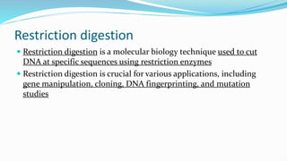 Restriction Digest Process 04 Restriction Digestion_JO department of micro.ppt