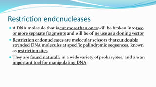 04 Restriction Digestion_JO department of micro.ppt