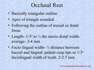 Occlusal Rest
• Basically triangular outline.
• Apex of triangle rounded.
• Following the outline of mesial or distal
fossa.
• Length- 1/3rd
to ½ the mesio distal width-
average- 3-4 mm
• Facio lingual width- ½ distance between
buccal and lingual/ palatal cusp tips or 1/3rd
faciolingual width of tooth. 2-2.5 mm
www.asiandentalacademy.org
 