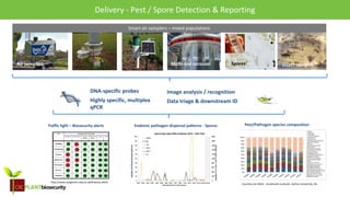 biosecurity built on science
Air samplers
DNA-specific probes
Highly specific, multiplex
qPCR
Smart air samplers – mixed populations
Insect samplesMulti-vial carousel
Traffic light – Biosecurity alerts
Delivery - Pest / Spore Detection & Reporting
http://www.syngenta-crop.co.uk/brassica-alert/
Image analysis / recognition
Data triage & downstream ID
Spores
Pest/Pathogen species composition
Courtesy Jon West - Annemarie Justesen, Aarhus University, Dk
Endemic pathogen dispersal patterns - Spores
 