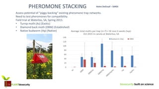 biosecurity built on science
PHEROMONE STACKING
Assess potential of “piggy-backing” existing pheromone trap networks.
Need to test pheromones for compatibility.
Field trial at Waterloo, SA, Spring 2015:
• Turnip moth (As) (Exotic)
• Diamond back moth (DBM) (Established)
• Native budworm (Hp) (Native)
Helen DeGraaf – SARDI
 