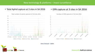 biosecurity built on science
Research & opportunities – Surveillance and New technologiesNew technology & platforms – Insect surveillance
• Total Aphid capture at 3 sites in SA 2016
0
20
40
60
80
100
120
140
160
180
3/17/2016 4/17/2016 5/17/2016 6/17/2016 7/17/2016 8/17/2016 9/17/2016
Total numbers of aphids captured at 3 SA sites 2016
Waite (17th Mar) Balaklava (27 May) Kapunda (14 April)
• GPA capture at 3 sites in SA 2016
0
2
4
6
8
10
12
14
16
18
20
Numbers of GPA captured at 3 SA sites 2016
Waite (17th Mar) Balaklava (27 May) Kapunda (14 April)
Helen DeGraaf – SARDI
 