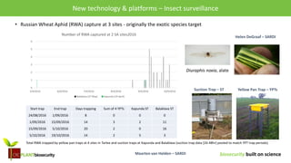 biosecurity built on science
• Russian Wheat Aphid (RWA) capture at 3 sites - originally the exotic species target
Helen DeGraaf – SARDI
Research & opportunities – Surveillance and New technologiesNew technology & platforms – Insect surveillance
0
1
2
3
4
5
6
5/4/2016 6/4/2016 7/4/2016 8/4/2016 9/4/2016 10/4/2016
Number of RWA captured at 2 SA sites2016
Balaklava (27 May) Kapunda (14 April)
Diuraphis noxia, alate
Start trap End trap Days trapping Sum of 4 YPTs Kapunda ST Balaklava ST
24/08/2016 1/09/2016 8 0 0 0
1/09/2016 15/09/2016 14 3 2 11
15/09/2016 5/10/2016 20 2 0 16
5/10/2016 19/10/2016 14 2 5 3
Total RWA trapped by yellow pan traps at 4 sites in Tarlee and suction traps at Kapunda and Balaklava (suction trap data [24-48hr] pooled to match YPT trap periods)
Maarten van Helden – SARDI
Yellow Pan Trap – YPTsSuction Trap – ST
 