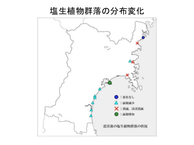 宮城県の沿岸部における震災後の野生植物の現状