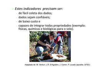Estes indicadores precisam ser:
 de fácil coleta dos dados;
 dados sejam confiáveis;
 de baixo custo e
 capazes de integrar todas propriedades (exemplo:
físicas, químicas e biológicas para o solo).
Adaptado
Adaptado de: M.
de: M. Venturi
Venturi, L.R.
, L.R. D’Agostini
D’Agostini, J.
, J. Comin
Comin, P.
, P. Lovato
Lovato (
(apostila
apostila, UFSC)
, UFSC)
 