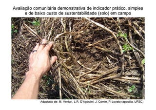 Avaliação
Avaliação comunitária
comunitária demonstrativa
demonstrativa de
de indicador
indicador prático
prático, simples
, simples
e de
e de baixo
baixo custo
custo de
de sustentabilidade
sustentabilidade (solo)
(solo) em
em campo
campo
Adaptado
Adaptado de: M.
de: M. Venturi
Venturi, L.R.
, L.R. D’Agostini
D’Agostini, J.
, J. Comin
Comin, P.
, P. Lovato
Lovato (
(apostila
apostila, UFSC)
, UFSC)
 
