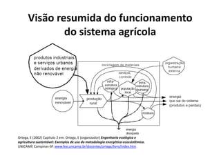 Visão resumida do funcionamento
do sistema agrícola
Ortega, E (2002) Capítulo 2 em: Ortega, E (organizador) Engenharia ecológica e
agricultura sustentável: Exemplos de uso da metodologia energética-ecossistêmica.
UNICAMP, Campinas-SP. www.fea.unicamp.br/docentes/ortega/livro/index.htm
 