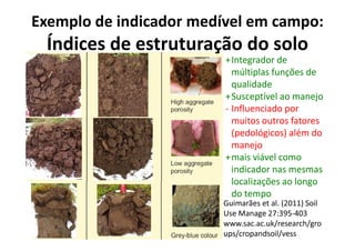 +Integrador de
múltiplas funções de
qualidade
+Susceptível ao manejo
- Influenciado por
muitos outros fatores
Exemplo de indicador medível em campo:
Índices de estruturação do solo
muitos outros fatores
(pedológicos) além do
manejo
+mais viável como
indicador nas mesmas
localizações ao longo
do tempo
Guimarães et al. (2011) Soil
Use Manage 27:395-403
www.sac.ac.uk/research/gro
ups/cropandsoil/vess
 