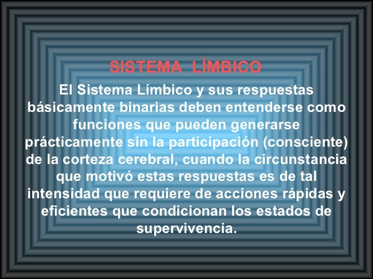 Como funcionan las acciones binarias