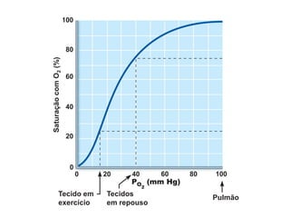 Pulmão
Tecido em
exercício
Tecidos
em repouso
Saturação
com
O
2
(%)
 