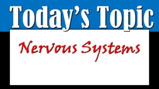 Today’s Topic
Nervous Systems
 