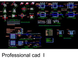 Professional cad I
 