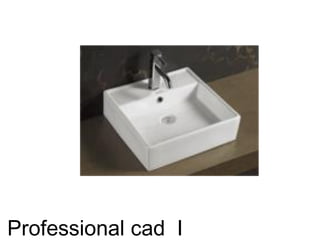 Professional cad I
 