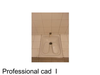 Professional cad I
 