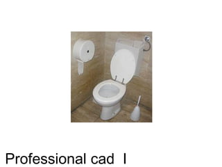 Professional cad I
 