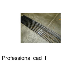 Professional cad I
 