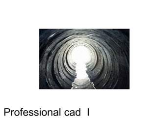 Professional cad I
 