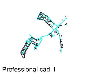 Professional cad I
 