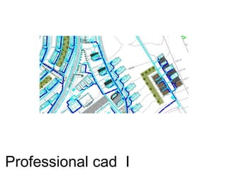Professional cad I
 